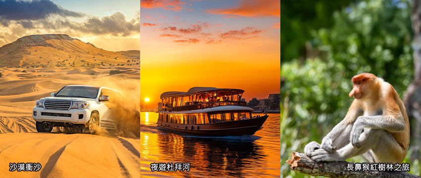 體驗-衝沙+夜遊杜拜河+長鼻猴紅樹林之旅
